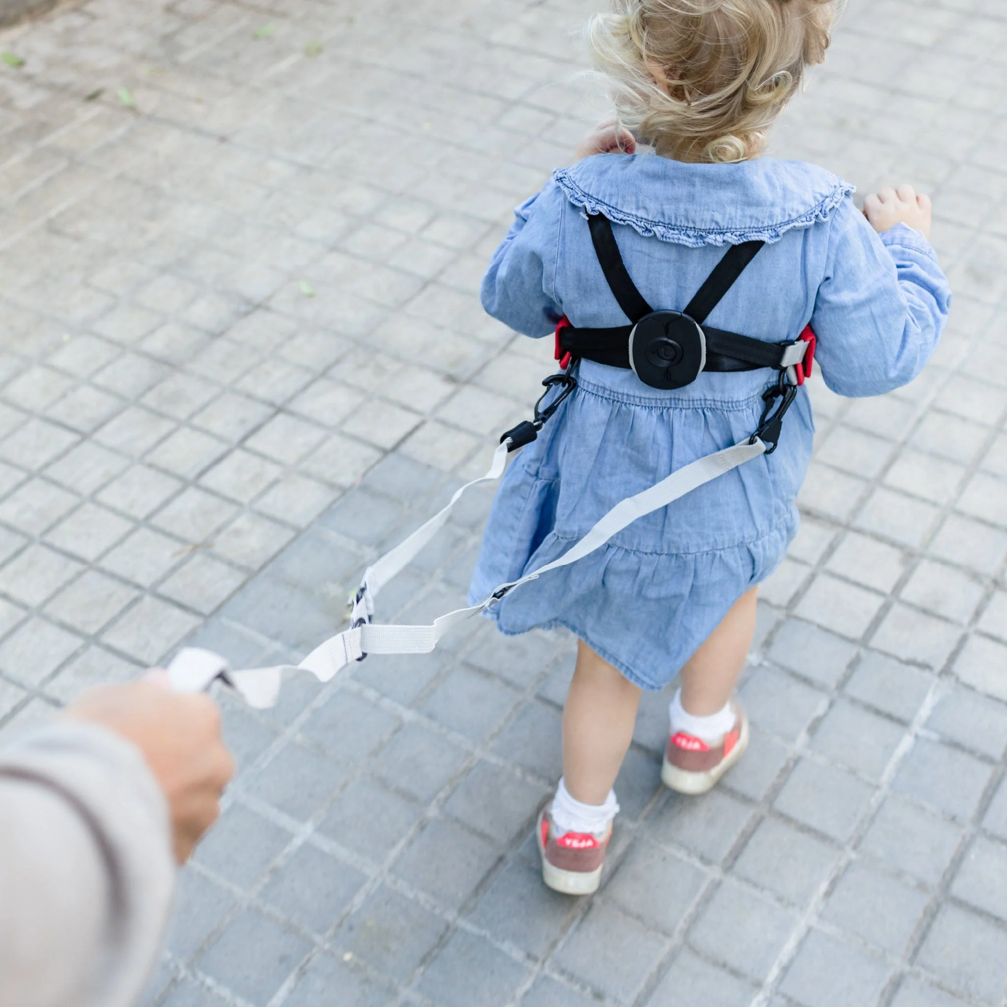 ToddlePak Red - Felix - Image 6